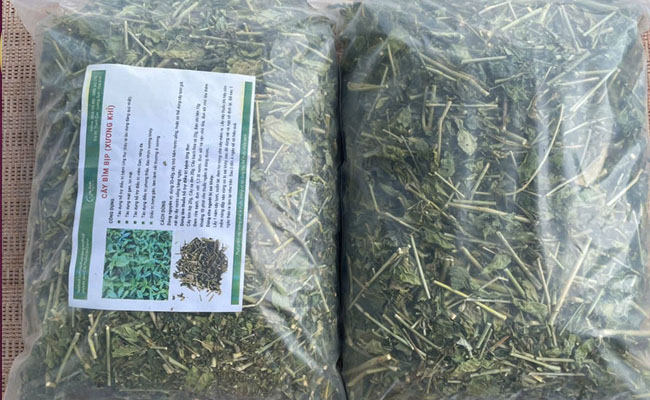 cây xương khỉ