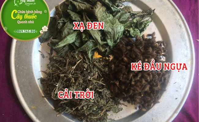 Cường Giáp