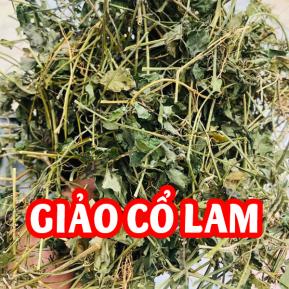 Giảo Cổ Lam Có Công Dụng Gì Và Mua Giảo Cổ Lam 5 Lá Ở Đâu Tốt