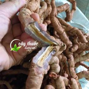 Tác dụng của ba kích tím và mua ba kích ở đâu tốt nhất