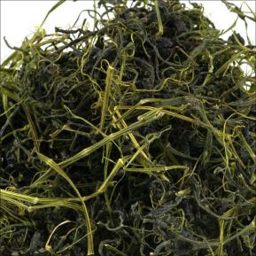 Giảo cổ lam hỗ trợ điều trị bệnh tiểu đường hiệu quả