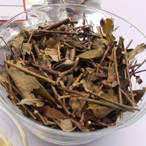 Chè vằng giúp lợi sữa, giảm béo hiệu quả ở phụ nữ sau sinh