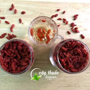 Câu kỷ tử vị thuốc quý 