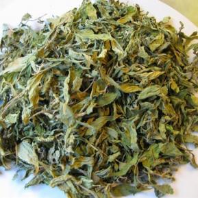 Chè dung cây thuốc quý tốt cho tiêu hóa hỗ trợ điều trị bệnh dạ dày