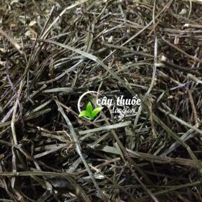 Bán chi liên (hoàng cầm râu) Có tác dụng gì và mua ở đâu chất lượng