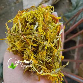 Kim ngân hoa giúp trị bệnh về gan, kháng khuẩn, mụn nhọt, viêm xoang