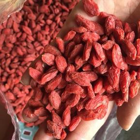 Giáo sư Từ Tích Sơn: Buổi sáng ăn một nắm hạt này, còn tốt hơn đông trùng hạ thảo đắt đỏ