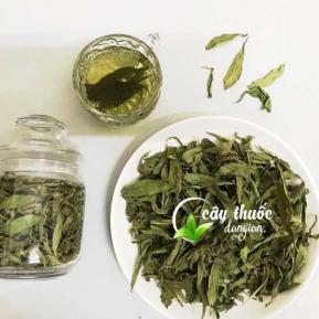 Tác dụng của cây cỏ ngọt và mua cỏ ngọt ở đâu tốt