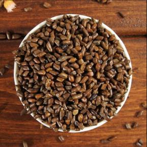 Thảo quyết minh (Hạt muồng muồng) điều trị mất ngủ, sáng mắt, nhuận tràng