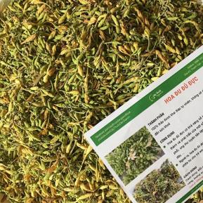 Hoa Đủ Đủ Đực Sấy Khô Thượng Hạng