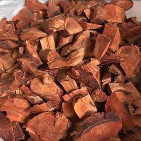 Cây Mú Tửn Hỗ Trợ Điều Trị Yếu Sinh Lý, Xuất Tinh Sớm