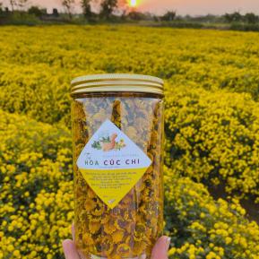 Tác Dụng Trà Hoa Cúc Chi Và Mua Ở Đâu