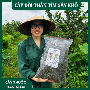 Cây Bọ Mắm (Cây Dòi Tím ) Khô Nguyên Chất