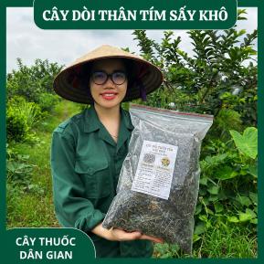 Cây Bọ Mắm (Cây Dòi Tím ) Khô Nguyên Chất