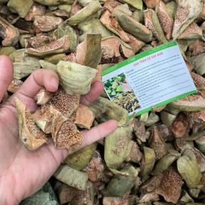 Quả Trâu Cổ Có Tác Dụng Gì Và Mua Ở Đâu Tốt