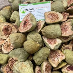 Quả Trâu Cổ Có Tác Dụng Gì Và Mua Ở Đâu Tốt