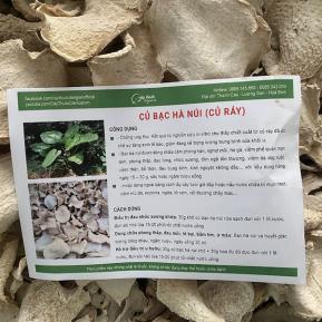 Cây Bạc Hà Núi (củ ráy) Có Tác Dụng Gì Và Mua Ở Đâu